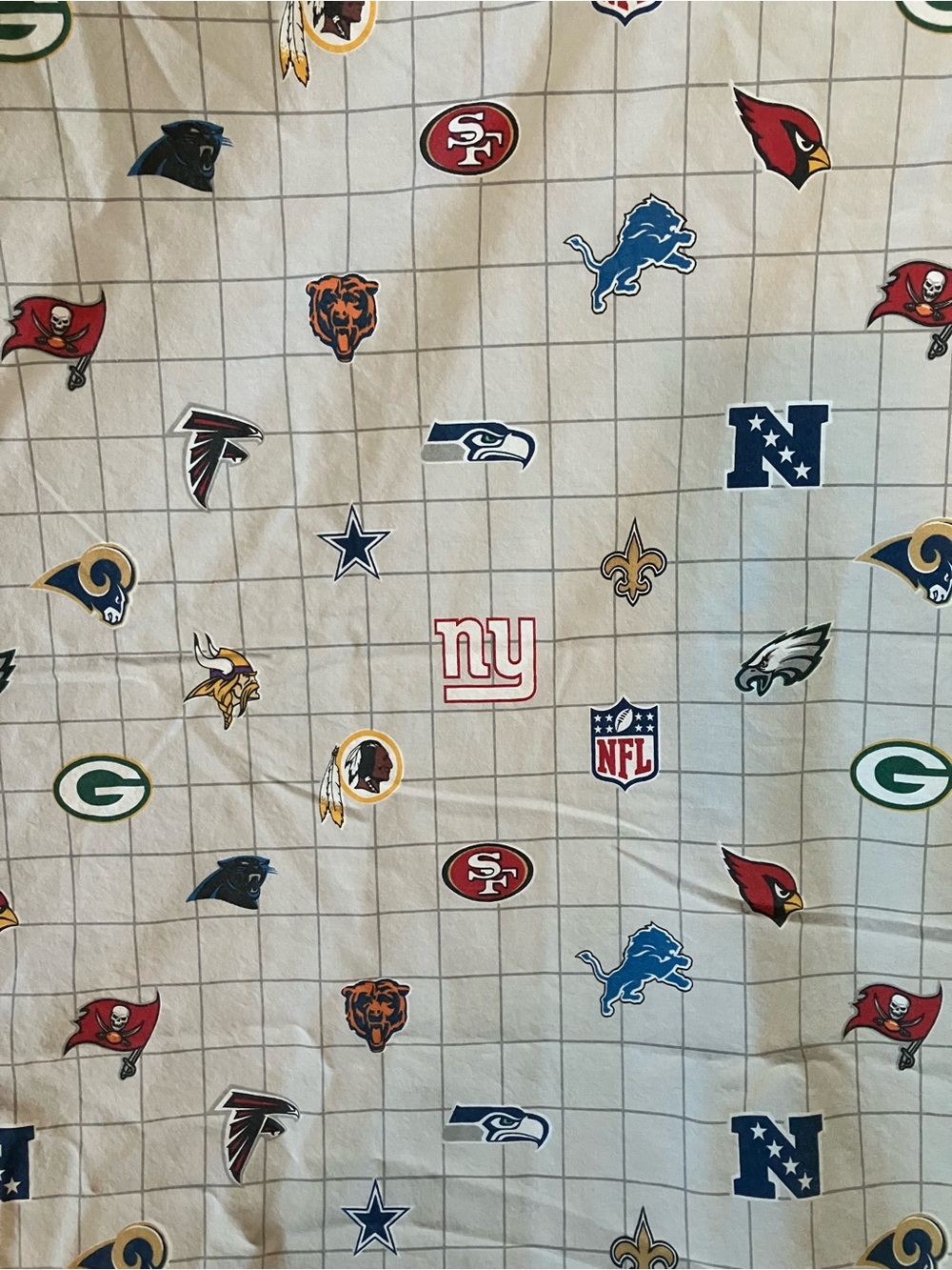 Pottery Barn Teen NFL Football Team Queen Flat Sheet